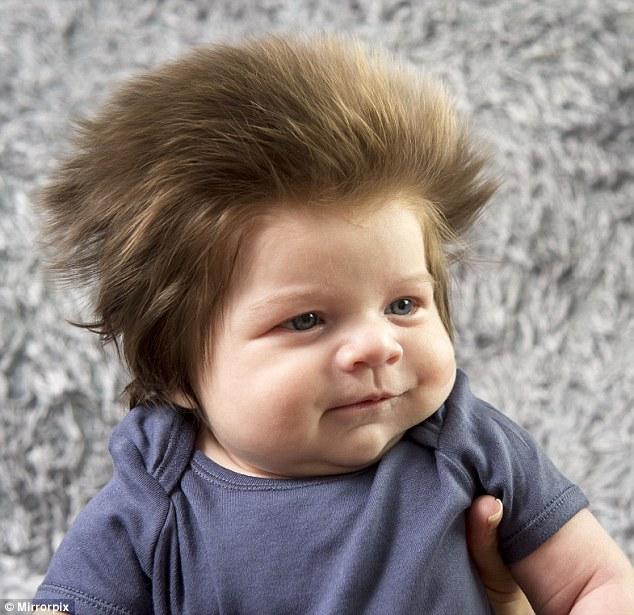 Junior Is Only Two Months Old But Already Has A Full Head Of Hair Onedio Co