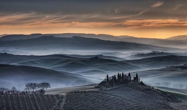 17. Tuscan Golden Sunrise (Remarkable Award In Open Color Category)