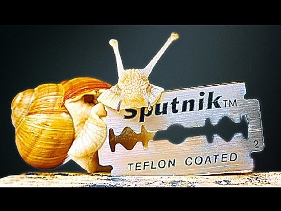 Salyangoz, Kesici Aletlerin Üzerinden Geçerse Ne Olur?