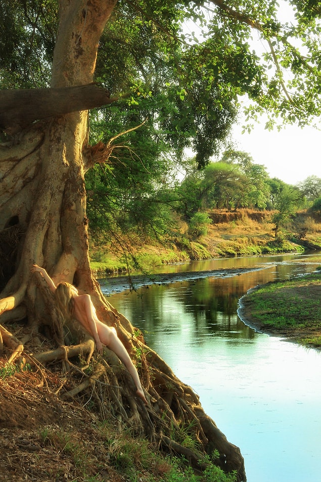 7. Sycomore River Fig–Sycomore Fig (Ficus sycomorous), South Africa