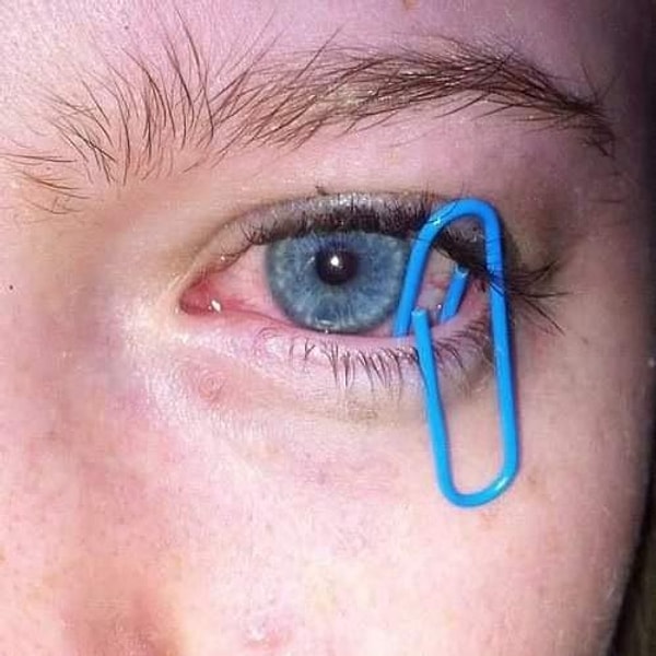 20. Что?! Как ей вообще пришла в голову эта идея?