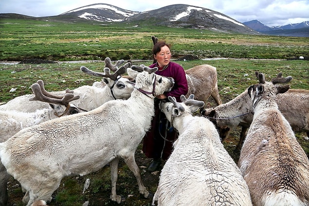 8. The Tsaatan Nomads In Mongolia