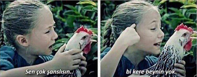 25. Ne şans ama!