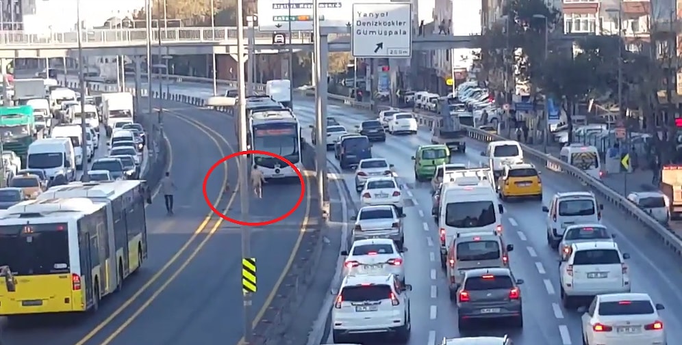 Çırılçıplak Soyunup Metrobüsün Önüne Atlayan Adam