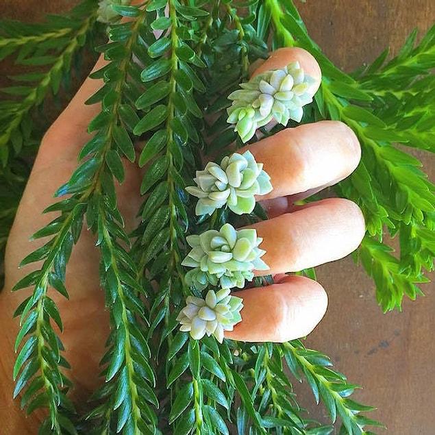4. All you need to do is to glue succulents straight onto your nails for this botanical nail trend!