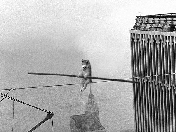 10. Цирковой артист