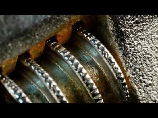 Неожиданная красота макросъемки