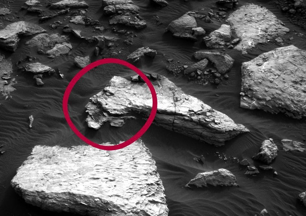 Mars'tan Gelen "Öpücük Gönderen Uzaylı"