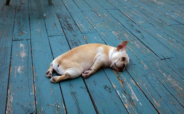 6. Депрессивные и пессимистичные мысли