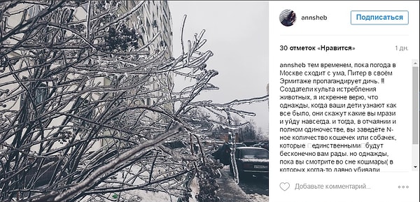 9. Министерство культуры возложило ответственность на Эрмитаж, а представители музея считают, что искусство Фабра "дало вторую жизнь" мертвым животным