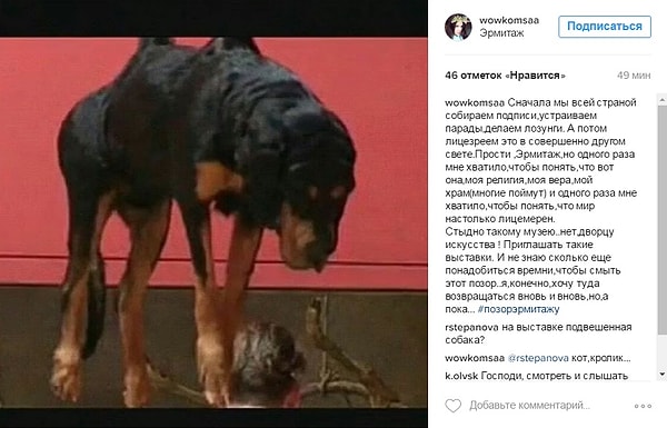 10. В ответ на гневные комментарии Эрмитаж напомнил, что еще 28 октября опубликовал на сайте ответы на вопросы посетителей по поводу выставки Фабра