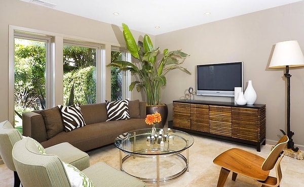 7. Зеленые растения