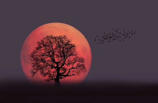 Ay Bu Yüzyıldaki En Süper Halini Aldı: Fotoğrafçıların Kadrajına Giren 26 'Süper Ay' Manzarası