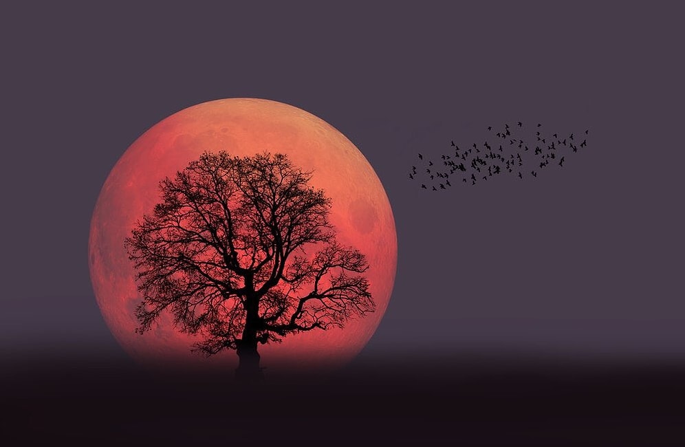 Ay Bu Yüzyıldaki En Süper Halini Aldı: Fotoğrafçıların Kadrajına Giren 26 'Süper Ay' Manzarası