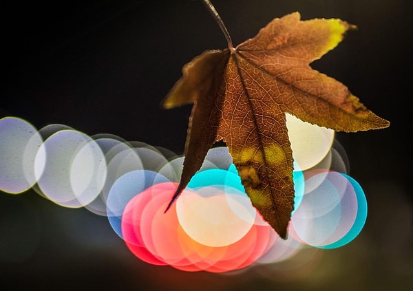 2. Франкфурт, Германия (Frank Rumpenhorst)