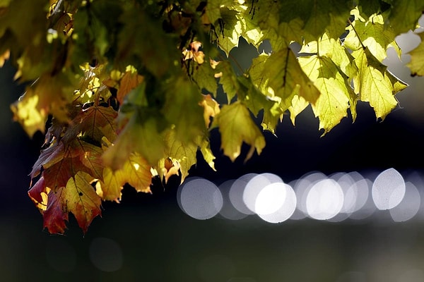 34. Мюнхен, Германия (Matthias Schrader)