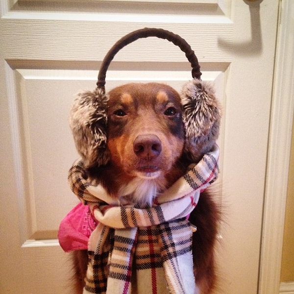 И будет вам счастье!