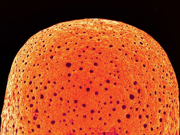 4. Что напоминает?