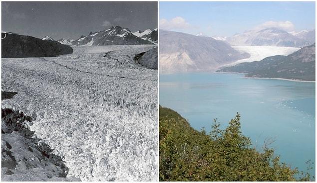 16. Muir Glacier, Alaska. August, 1941 — August, 2004.