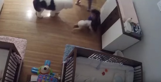 Helal Sana be!👏 Komodinin Üzerinden Düşen 11 Aylık Kardeşini Havada Yakalayan Çocuk