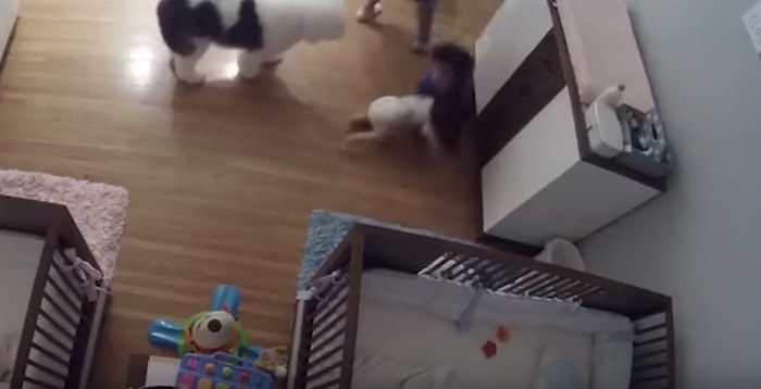 Helal Sana be!👏 Komodinin Üzerinden Düşen 11 Aylık Kardeşini Havada Yakalayan Çocuk