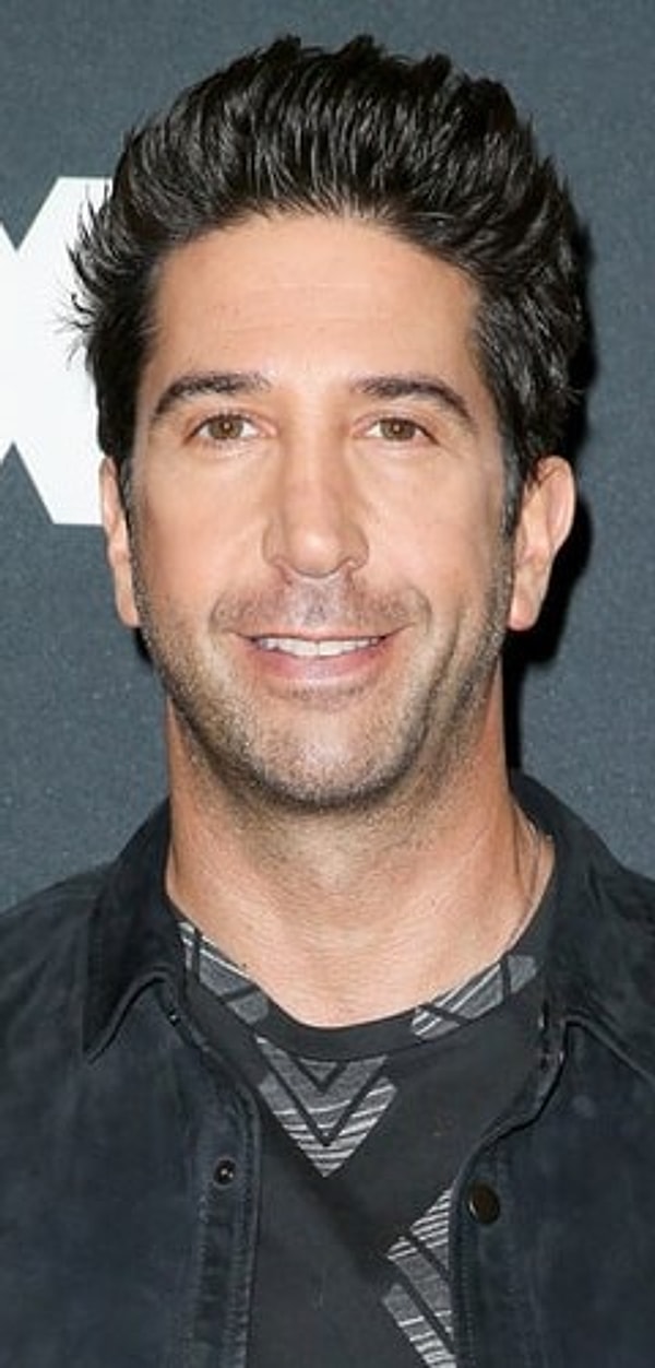 15. Дэвид Швиммер