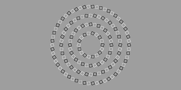 8. Son olarak görselde kaç tane çember görüyorsun?