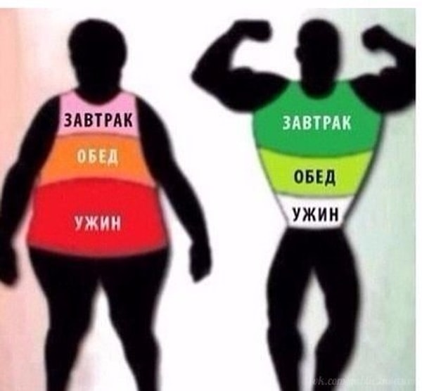 38. Питайтесь правильно.