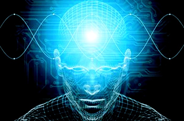 5. Дело в том, что за умственные способности отвечает как раз кора головного мозга. В ней происходят процессы обдумывания, обучения языку, стратегии. Лимбическая же система в свою очередь отвечает за сексуальное возбуждение, агрессивность и аппетит.