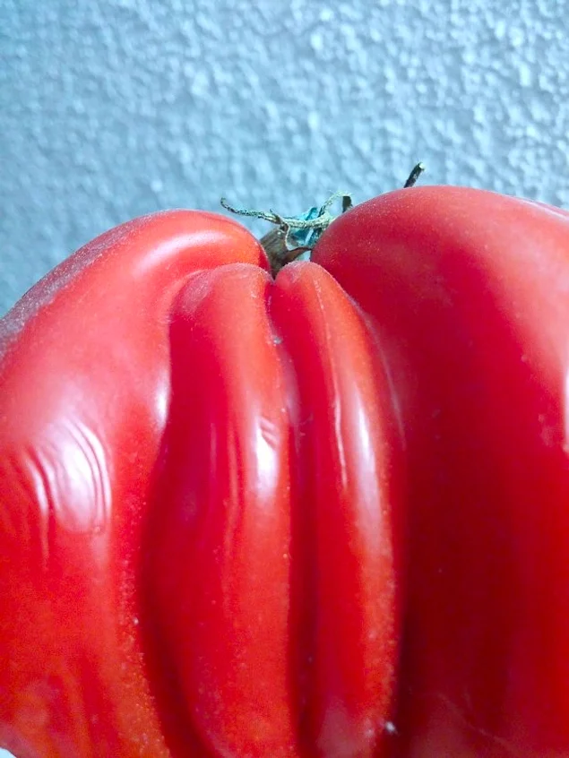 Все, что я вижу - это симпатичная помидорка