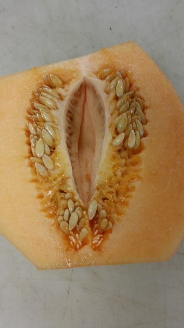 10. И дыня. Что еще здесь можно увидеть?