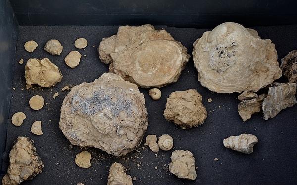 "Bu fosiller bize bir dönem Kırşehir’in deniz olduğunu gösteriyor"