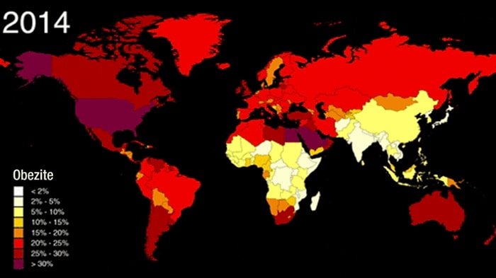 Obezitede 40 Yılda Meydana Gelen Artışı Özetleyen Animasyon Harita