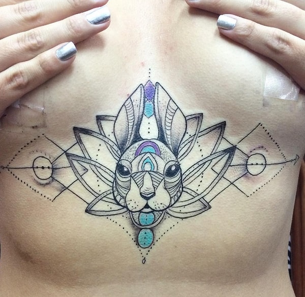 2. Зайка нашел хозяйку