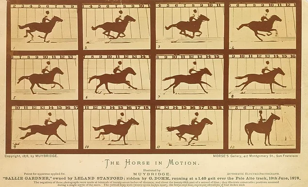 "Лошадь в движении", Эдвард Мейбридж, 1878