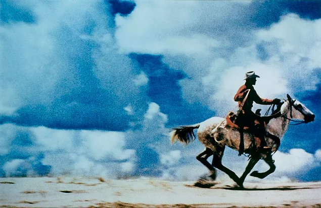 "Безымянный ковбой", Ричард Принс, 1989