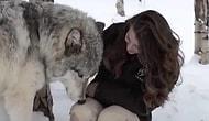 Захватывающее дух видео о дружбе человека и волка