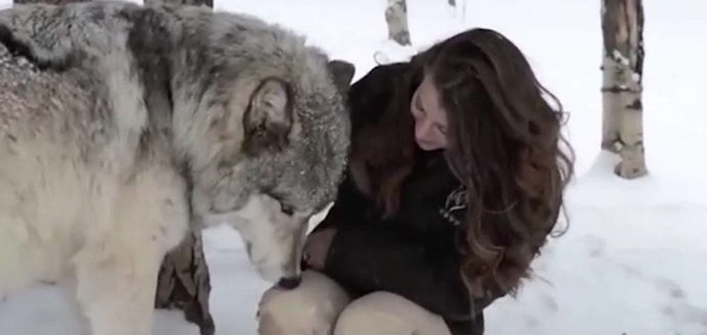 Захватывающее дух видео о дружбе человека и волка