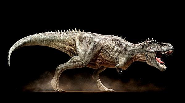 9. "Dinozor" kelimesi Antik Yunan'dan gelmektedir ve anlamı "korkunç kertenkele"dir.