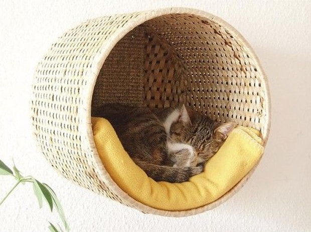 Birakin Miril Miril Uyusun Evdeki Ivir Zivirla Yapabileceginiz 17 Yumusacik Kedi Yatagi