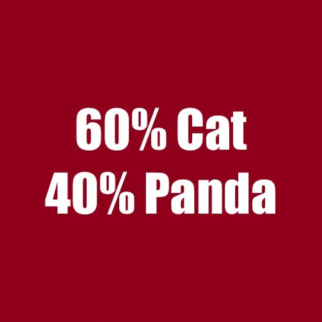 60% Cat 40% Panda!