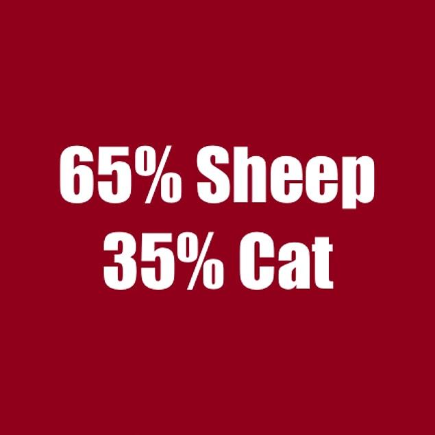 65% Sheep 35% Cat!