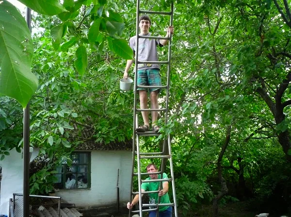 24 Crystal Clear Reasons Showing Why Women Live Longer Than Men!