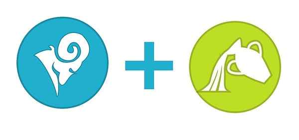 4. Овен и Водолей