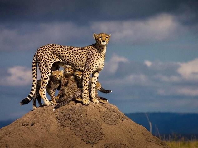 19. Being a protective mother is the same for everyone!