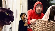 Meşhur Film Sahnelerini Tekrar Canlandırmayı Kendisine Görev Edinmiş Adam ve Kedileri