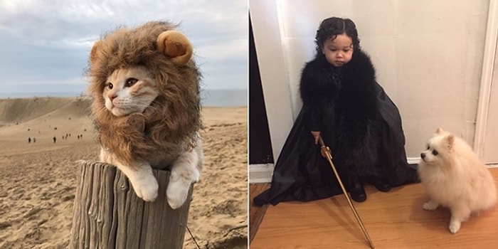 Onedio Instagram Hesabı İftiharla Sunar! Kasım Ayının En Çok Beğenilen 24 Paylaşımı