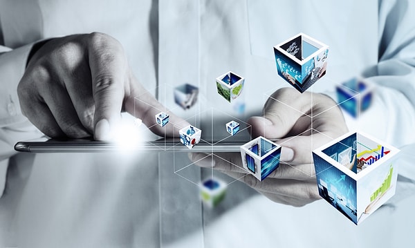 8. Директор по информационным технологиям (IT)