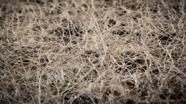 6. А это, что вам напомнило?