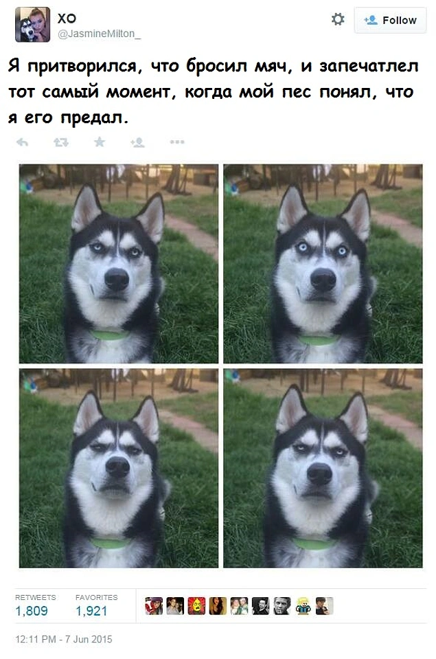 "Думаешь, ты такой умный, да, человек?"